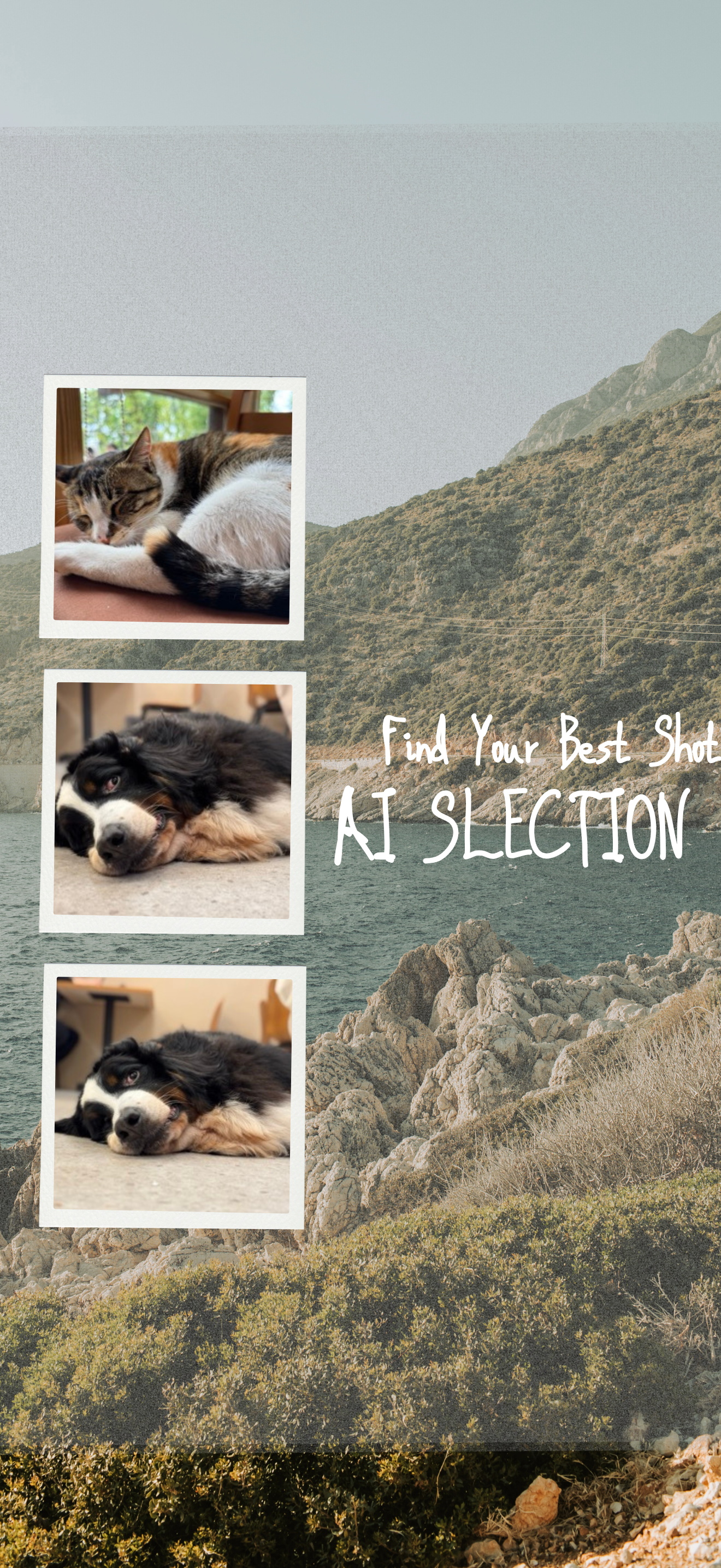 AI PhotoSieve Screenshot 3